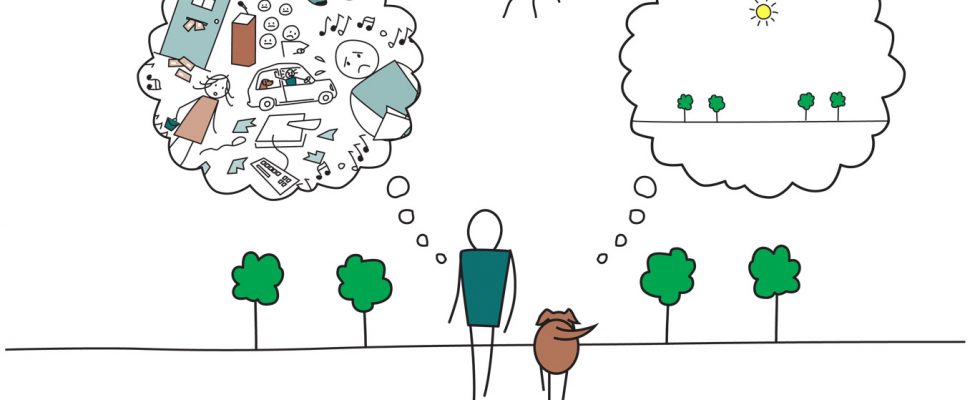 practice mindfulness