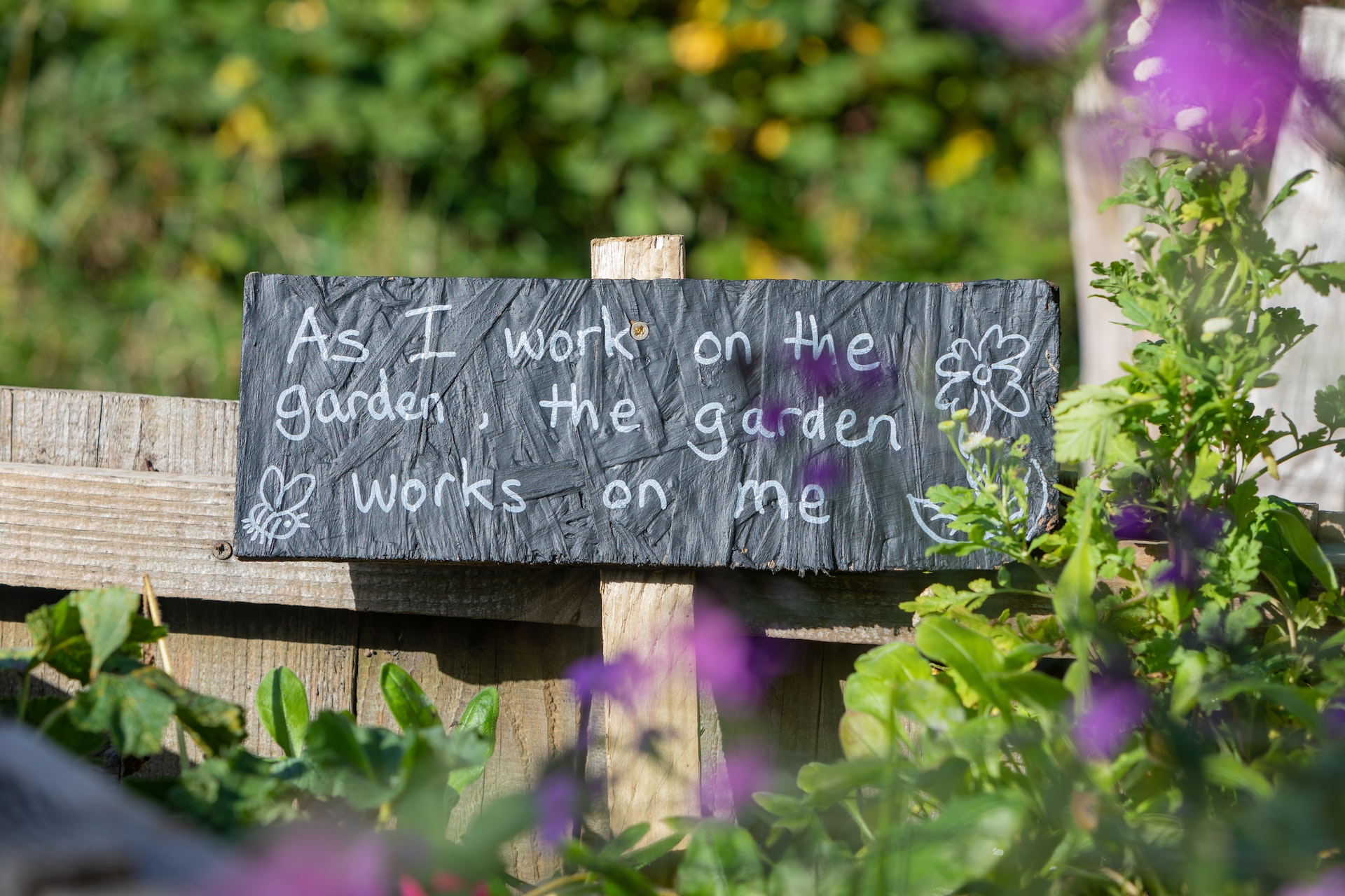 Health and wellbeing benefits of growing your own food